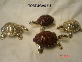 TORTUGA ALAJERO