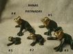 RANAS