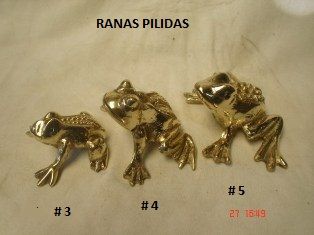 RANAS PULIDAS
