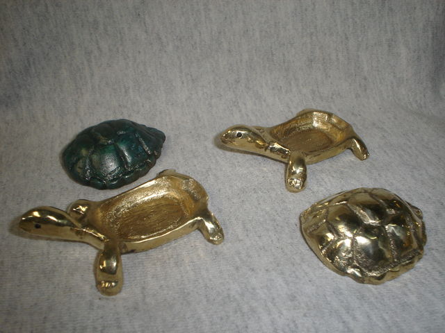 TORTUGAS ALJEROS